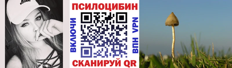 Псилоцибиновые грибы MAGIC MUSHROOMS  Карабаш 